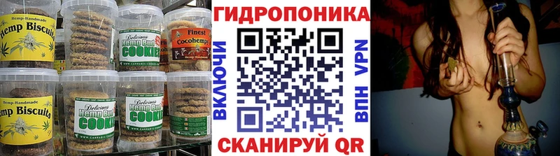 где продают наркотики  Нелидово  Еда ТГК конопля 