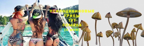 прущие крисы Кодинск
