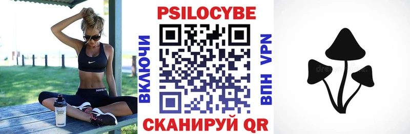 Псилоцибиновые грибы Psilocybe  купить наркоту  Нелидово 
